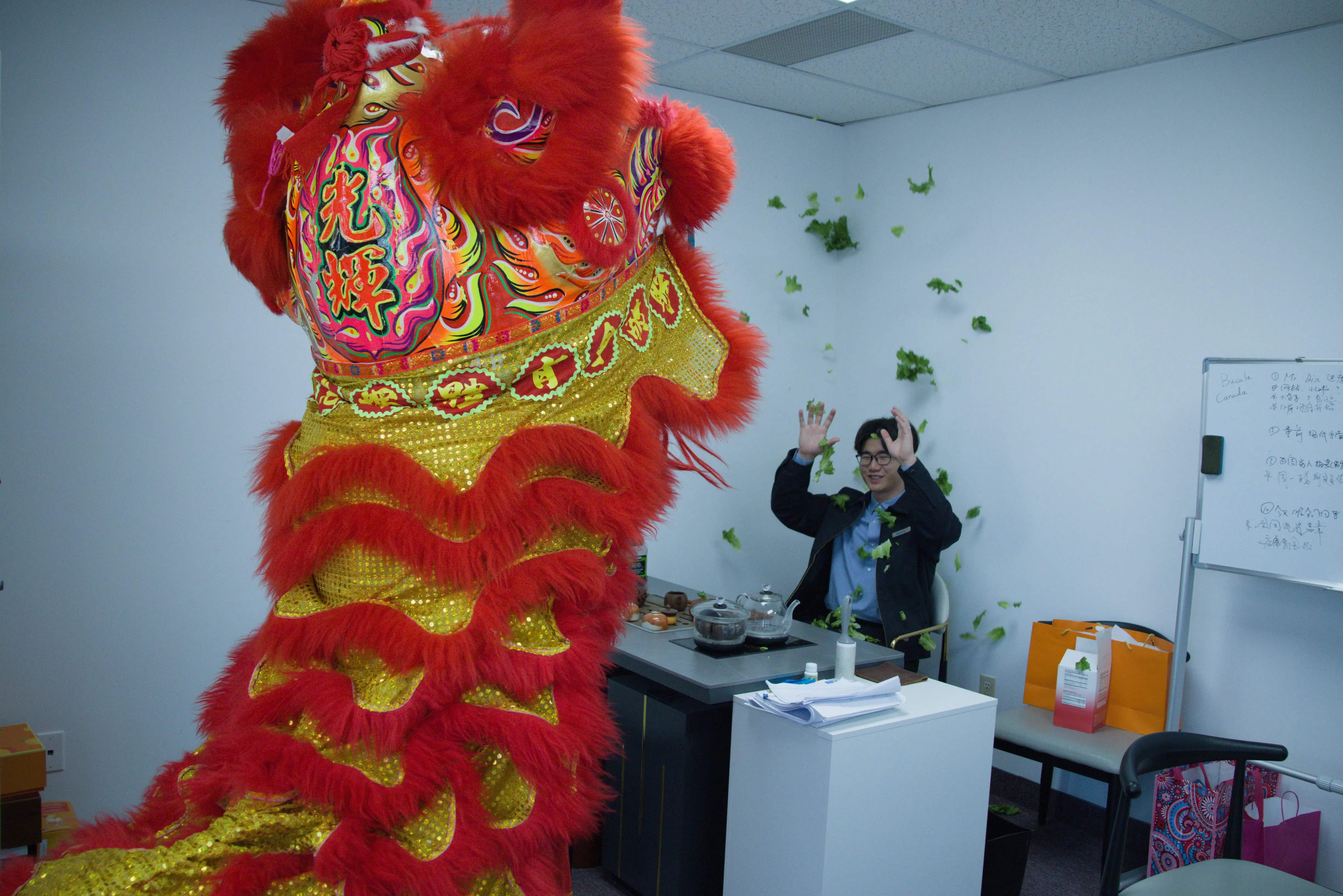 The Soaring Eagles Toronto Lion Dance - Grand Opening Ceremony