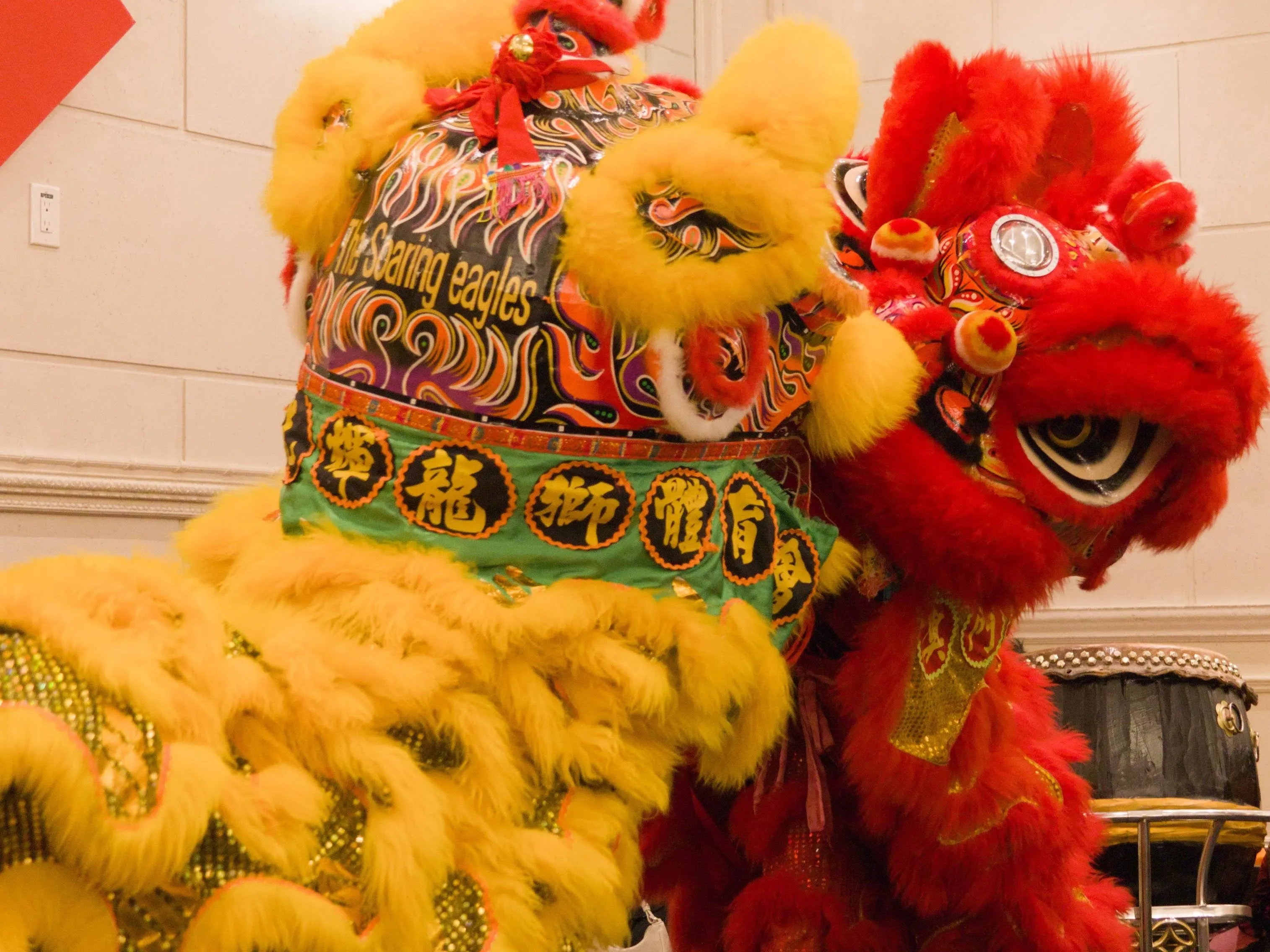 The Soaring Eagles Toronto Lion Dance - Customized Performances